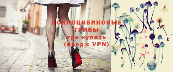 МДПВ Снежинск