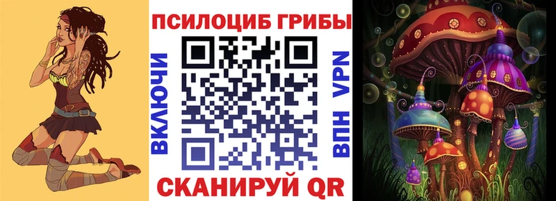 как найти Верхний Уфалей Псилоцибиновые грибы Psilocybe