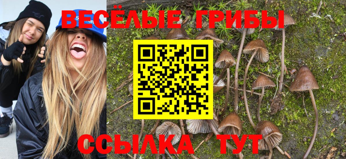 Галлюциногенные грибы Magic Shrooms  Вход с VPN  Верхний Уфалей  Галлюциногенные грибы Magic Shrooms 